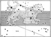 Leo Constellation, Zodiac Sign, Bayer, 1603 Poster Print by Science Source - Item # VARSCIBX9593