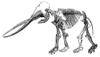 Mastodon, Cenozoic Mammal Poster Print by Science Source - Item # VARSCIBU2215