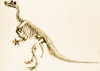 Iguanodon, Mesozoic Dinosaur Poster Print by Science Source - Item # VARSCIBP0044