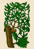 Mistletoe, Alchemy Plant Poster Print by Science Source - Item # VARSCIBQ2785