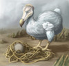 Dodo Bird, Illustration Poster Print by Spencer Sutton/Science Source - Item # VARSCIJB0991