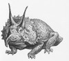 Triceratops Illustration Poster Print by Science Source - Item # VARSCIBN6709