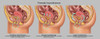 Types of Incontinence in Female Anatomy Poster Print by Gwen Shockey/Science Source - Item # VARSCIJB6969