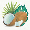 Coconut Palm V Poster Print by Mary Urban - Item # VARPDX31640