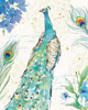 Peacock Garden I Poster Print by Anne Tavoletti - Item # VARPDX30420