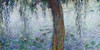 Morning with Weeping Willows I Poster Print by Claude Monet - Item # VARPDX2CM014