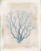 Sea Garden V Poster Print by Katie Pertiet - Item # VARPDX30853HR