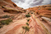 Valley of Fire I Poster Print by Stan Hellmann - Item # VARPDXPSHEL135