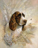 Enduring Loyalty Poster Print by Ruane Manning - Item # VARPDX8505