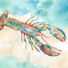 Sea Splash Lobster Poster Print by Cynthia Coulter - Item # VARPDXRB11667CC