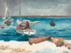 Nassau Poster Print by Winslow Homer - Item # VARPDX3HO2152