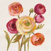English Garden II Poster Print by Silvia Vassileva - Item # VARPDX30149