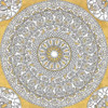 Color My World Mandala I Gold Poster Print by Daphne Brissonnet - Item # VARPDX25275