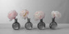 Peonies in glass bottles Poster Print by Assaf Frank - Item # VARPDXFTBR1780