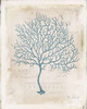 Sea Garden IV Poster Print by Katie Pertiet - Item # VARPDX30852HR