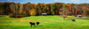 Virginia Horse Farm I Poster Print by Alan Hausenflock - Item # VARPDXPSHSF2224