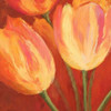 Orange Tulips Poster Print by Silvia Mei - Item # VARPDX1SM1360