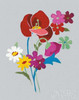 Alpine Bouquet II Gray Poster Print by Danhui Nai - Item # VARPDX32173