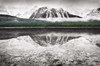 Waterfowl Lake I BW with Color Poster Print by Alan Majchrowicz - Item # VARPDX28183