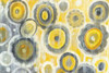 Abstract Circles Crop Poster Print by Danhui Nai - Item # VARPDX30241