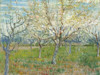 The Pink Orchard Poster Print by Vincent van Gogh - Item # VARPDX3VG552