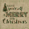 Tartan Holiday Phrase I Poster Print by Paul Brent - Item # VARPDXBNT1306