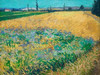 Wheatfield Poster Print by Vincent van Gogh - Item # VARPDX3VG558