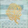 Clearwater Coral II Poster Print by Paul Brent - Item # VARPDXBNT1275