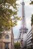 Eiffel View II Poster Print by Laura Marshall - Item # VARPDX30543
