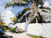 A Garden in Nassau Poster Print by Winslow Homer - Item # VARPDX3HO2150