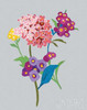 Alpine Bouquet III Gray Poster Print by Danhui Nai - Item # VARPDX32174