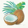 Coconut Palm III Poster Print by Mary Urban - Item # VARPDX31638
