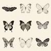 Butterfly BW 9 Patch Poster Print by Debra Van Swearingen - Item # VARPDX27640