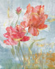 Floral Dance I Poster Print by Nan - Item # VARPDX17917