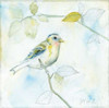 Sketched Songbird I Poster Print by Sue Schlabach - Item # VARPDX25973