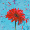 Blue Tiny Flower Square I Poster Print by Patricia Pinto - Item # VARPDX8458A