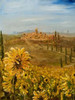 Tuscan Sunflowers I Poster Print by Jodi Monahan - Item # VARPDXMON128