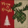 Tartan Holiday Lodge II Poster Print by Paul Brent - Item # VARPDXBNT1303