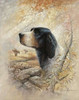 English Pointer Poster Print by Ruane Manning - Item # VARPDX8506A