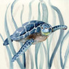 Turtle in Seagrass I Poster Print by Nan - Item # VARPDX17921