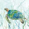 Sea Turtle Swim II Poster Print by Carol Robinson - Item # VARPDX17908