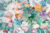 Succulent Florals Crop Poster Print by Danhui Nai - Item # VARPDX30242