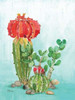 Cactus I Poster Print by Paul Brent
