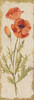 Poppy Panel on White Vintage Poster Print by Cheri Blum - Item # VARPDX24614