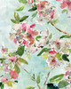 Spring Blossoms II Poster Print by Carol Robinson - Item # VARPDX17856