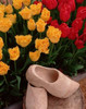 Wooden Shoe Tulips Poster Print by Ike Leahy - Item # VARPDXPSLHY311