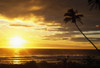 Sunrise With Palm Trees PosterPrint - Item # VARDPI1790757