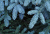 http://c328301.r1.cf1.rackcdn.com/DPI1783268LARGE.jpg