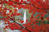 Autumn Leaves PosterPrint - Item # VARDPI1867497