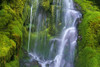 Waterfall Over Moss-Covered Rocks PosterPrint - Item # VARDPI1788409
